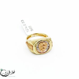 انگشتر مردانه ANB838